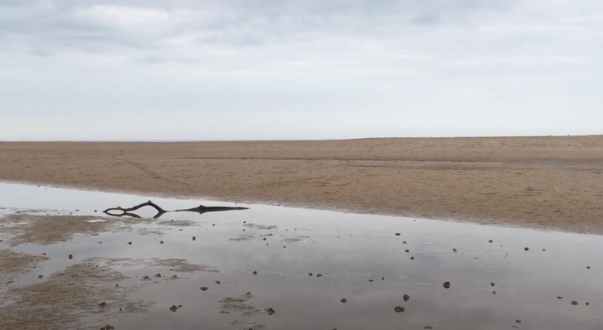 Holkham field recording music