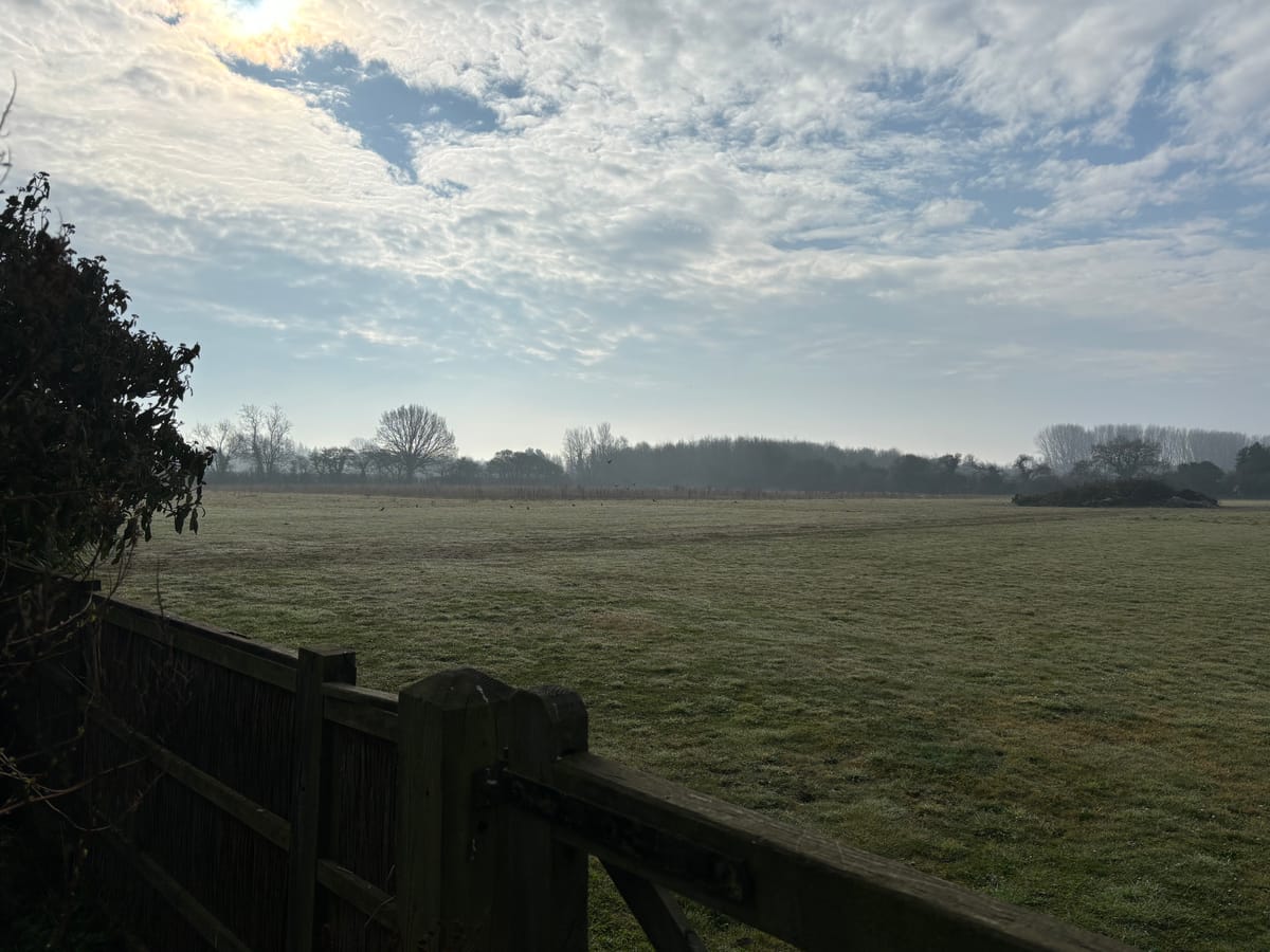 Weeknote 12