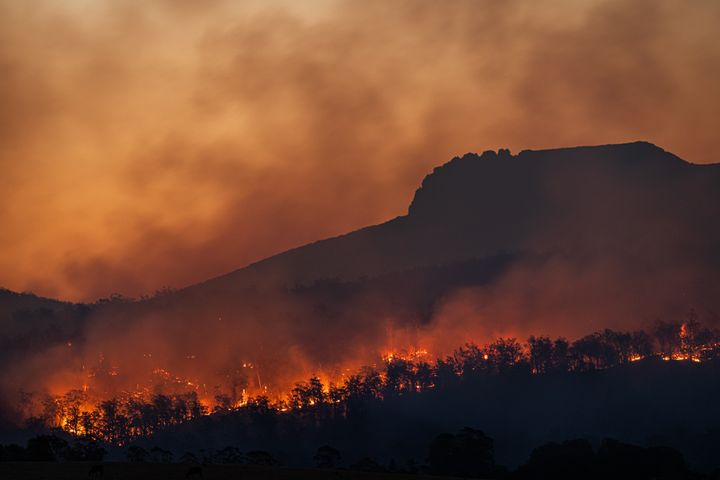 photo of a forest fire taken at night