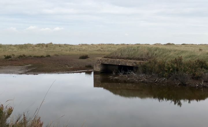 submerged world war 2 pillbox with grassy sand dunes in the distance