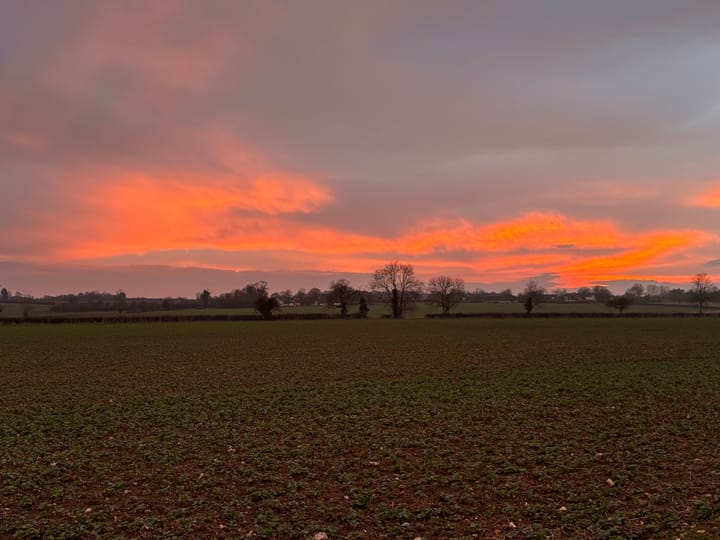 red sunset with fields in the foreground, trees in the mid-ground and the red sky and clouds in the foreground