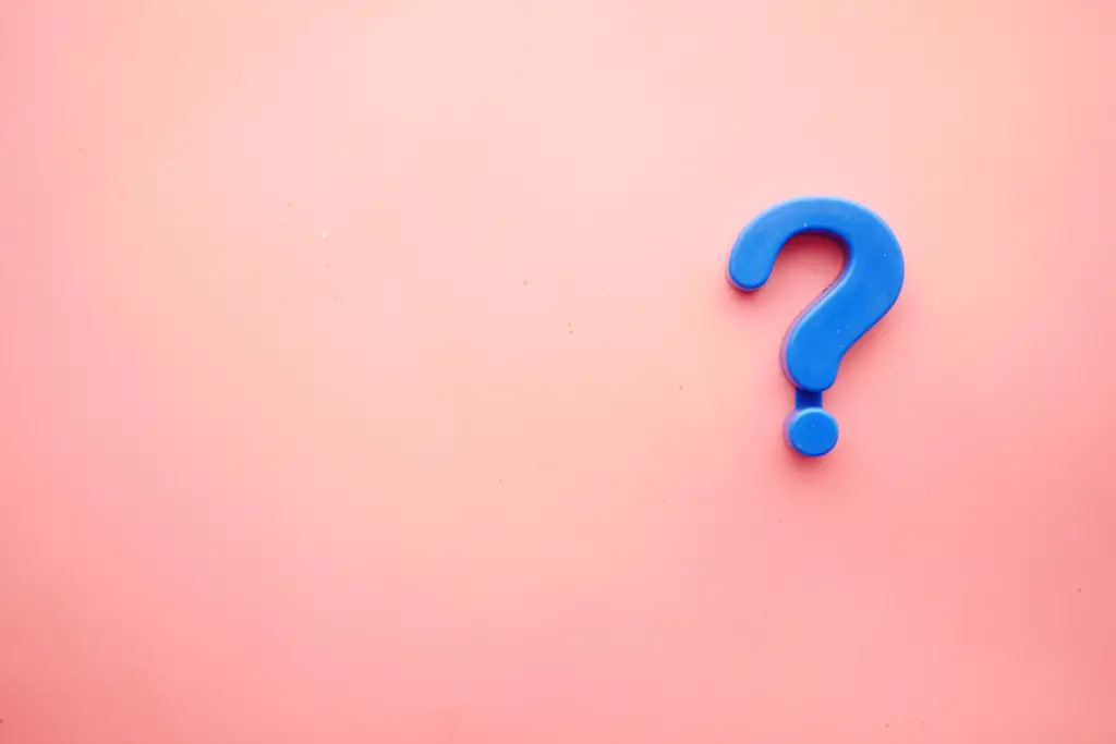 What are the 3 most important questions for a leader to answer?